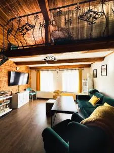 Loft Szczytna - 茨兹伊特纳