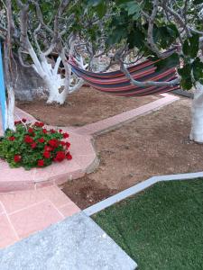 Villa Anna