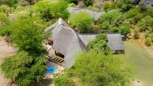 Meerkat Manor @ Zebula - Mmukubyane