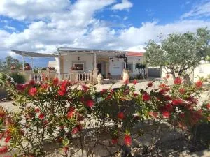 Le Anfore del Salento Bed and Breakfast - Torricella