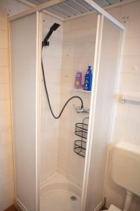 Villa Sara in Sinaia near Peles & Gondola