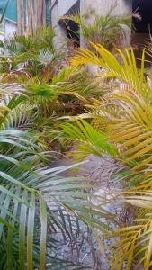 Studio - 27, One Bedroom Apt- Bandra west