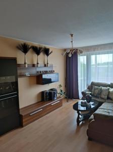 Apartamentai šalia parko