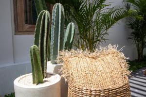 Umalas Jungle Amazing View-3BDR-Canggu-Huge pool-PS5