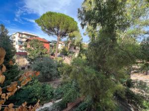 6Ponza Mansion Nature