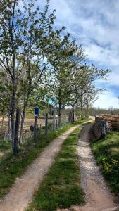 Agriturismo Zè del Pino