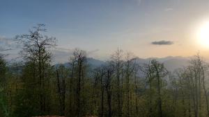 Agriturismo Zè del Pino