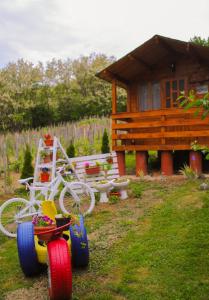 Căsuțele dintre vii