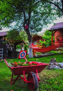 Căsuțele dintre vii