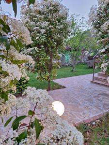 Country House on Mount Olympus