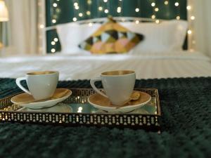 Cosy studio in Vitan