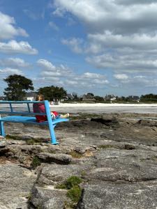 Maisons de vacances La petite maison de Celestine : photos des chambres