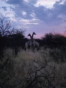 ILANGA Lodge & Game Reserve