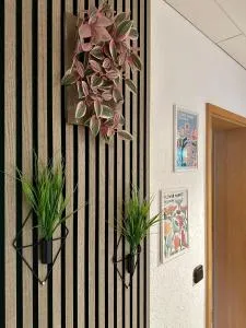 Schöne Wohnung mit großem Garten - 史塔卡赫