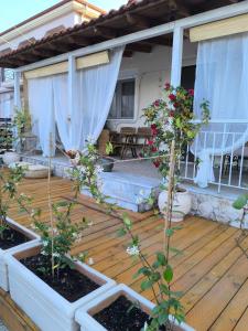 Villa “Rose”