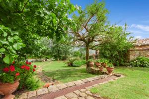 Villa Olmo With Private Pool - Happy Rentals