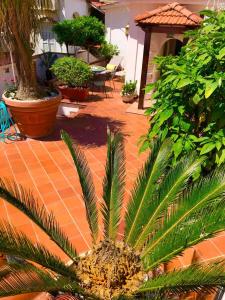 Syrene Suites Sorrento