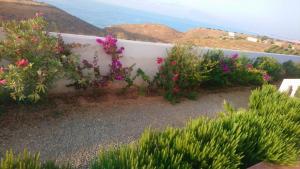 Villa en el campo sobre el mar