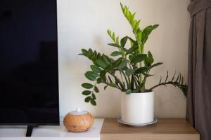 APARTMENT AIRPORT TAN SON NHAT - free Pool & Gym