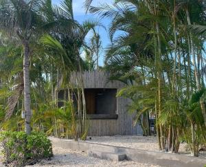 Tranquility at Mahogany and The PoolClub