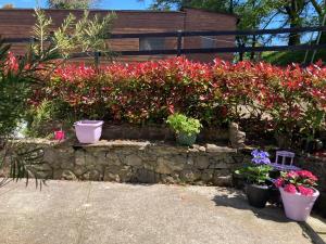 Fitzgeralds Farmhouse Accommodation V94 YY47