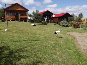 Wichrowa Skarpa - 3hvězdičkové hotely ve městě Rusinowo