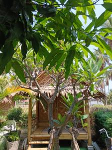 Bamboo homestay at samroiyot