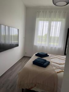 Villas Villa de standing en Champagne : photos des chambres