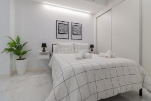 Loft Toñi Home