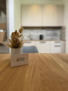 Apartment Nona Polda