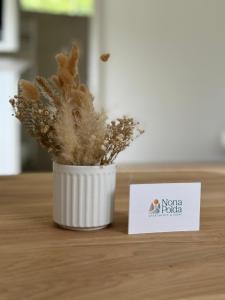 Apartment Nona Polda