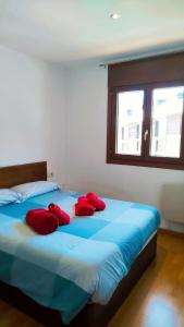 Apartaments Sort Pirineus