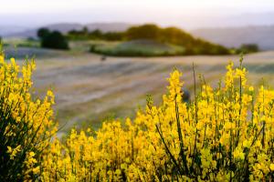 Agriturismo Le Casaline