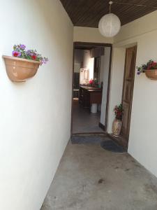 Casa Pintarolas