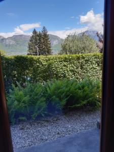 B&B / Chambres d'hotes Les Fougeres : photos des chambres