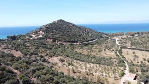 Almond House Best Vacation Ever img31