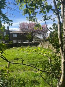 Bents Holiday Cottage