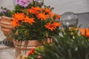 Apartments Haus Hagen - 比利切