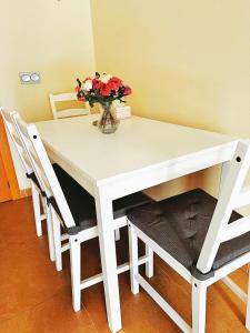 SOL ZEN HOME