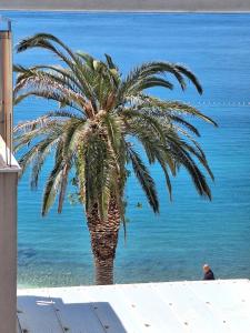 Apartman Graciela Perfect location Gradac 
