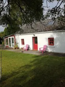 Quaint secluded Cottage close to beautiful Kinvara - 恩尼斯