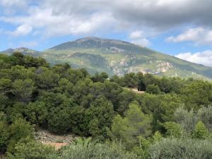 Maisons de vacances Gite et studio independant ideal Famille : photos des chambres