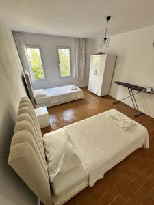 Albedo Apartment