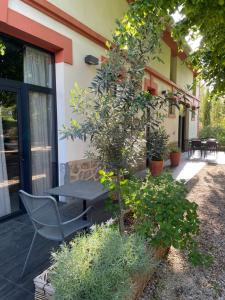 B&B / Chambres d'hotes Le Clos de la Pomponnette : photos des chambres
