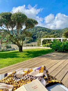 VillaSerenita Piscine chauffee Jacuzzi Petanque Ping pong Baby Foot : photos des chambres