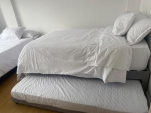 HOMY APARTAMENTOS - Corferias, embassy, airport, G12, UN, Agora