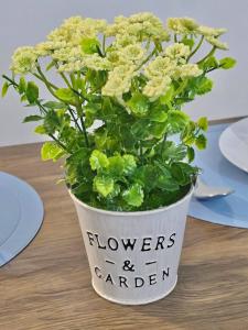 Serenity Acqua Inn Beside Enchanted Kingdom