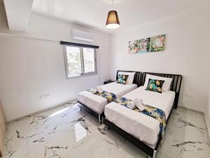 Parrots Paradise 100m From Finikoudes Beachfront