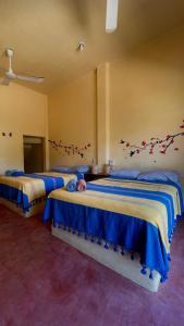 Casa Colibri La Punta