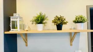 The base Central 263 by Numam